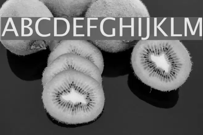 Lucida Sans Unicode Font examples