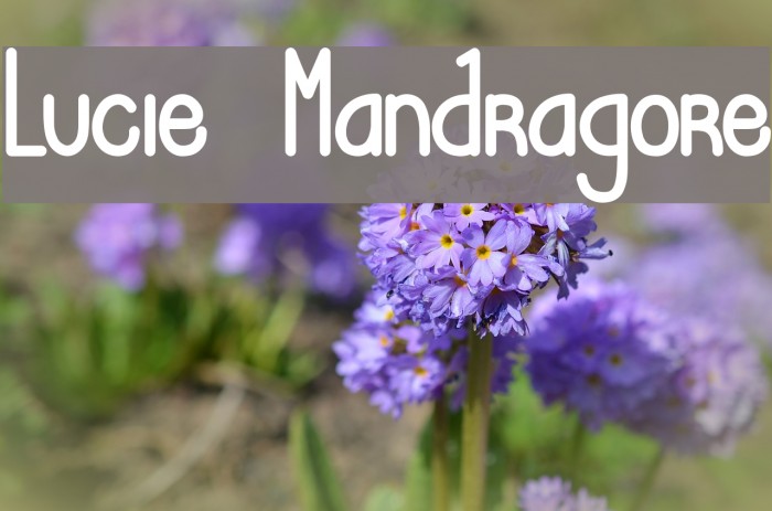 Lucie Mandragore لخطوط تنزيل examples