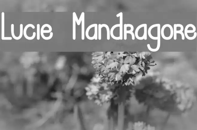 Lucie Mandragore Font examples