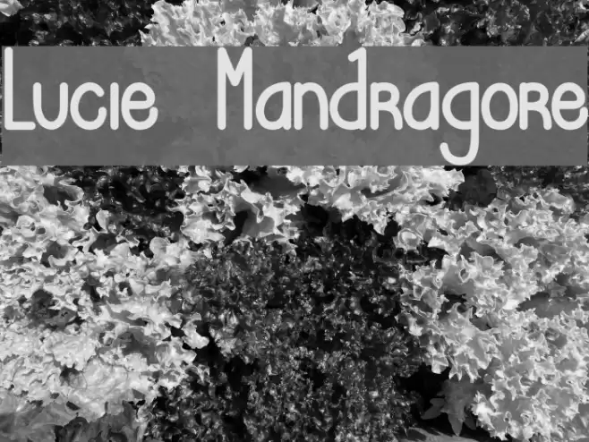 Lucie Mandragore Font examples