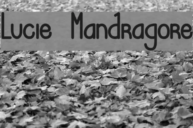 Lucie Mandragore Font examples