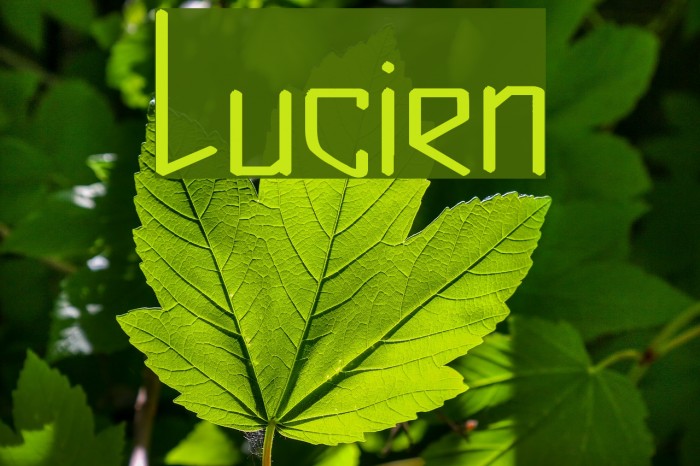 Lucien Шрифта examples