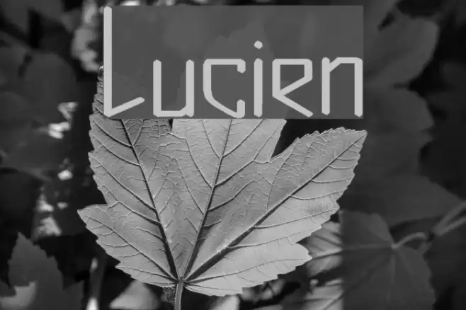 Lucien Font examples