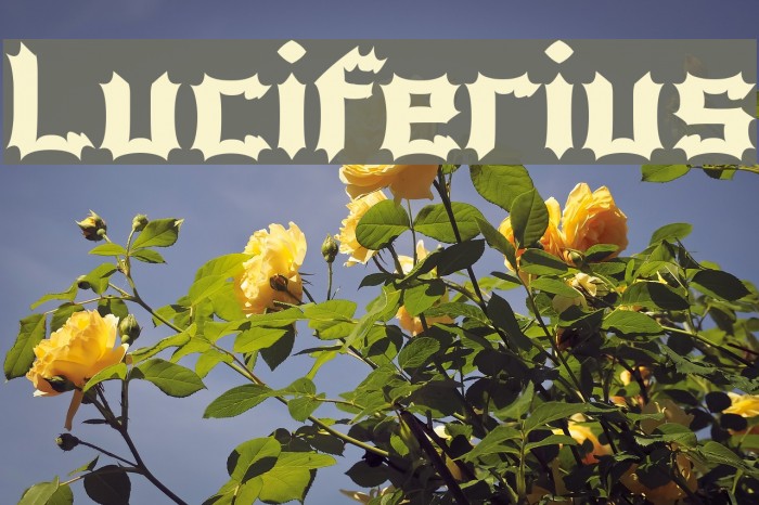 Luciferius Font examples