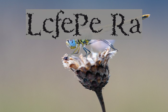 LucifersPension Roman لخطوط تنزيل examples