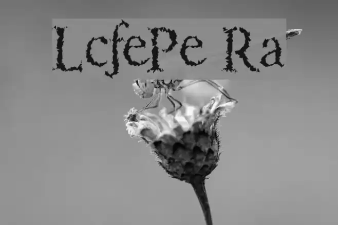 LucifersPension Roman Font examples