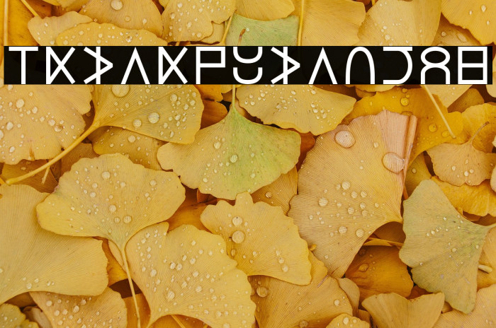 Lucius Cipher Example 1