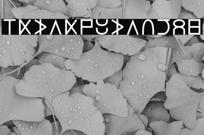 Lucius Cipher Schriftart examples