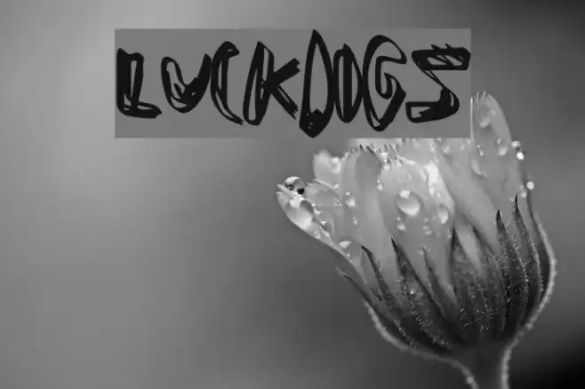 LuckDogs Font examples
