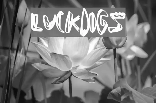 LuckDogs Font examples