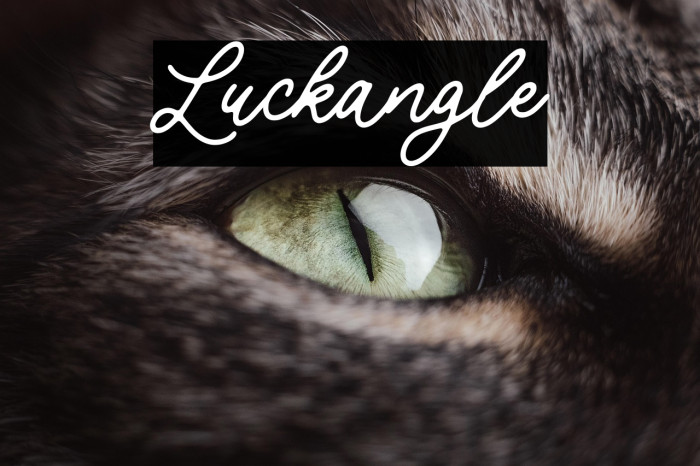 Luckangle Example 1