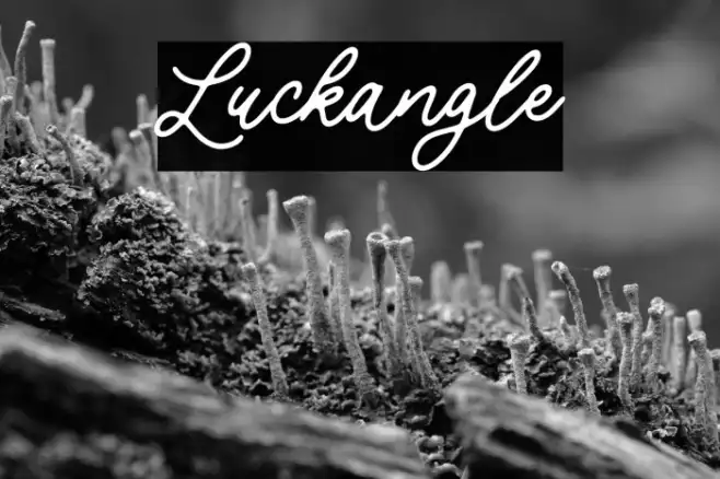 Luckangle Example 2