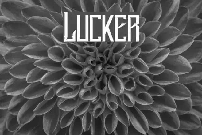 Lucker Font examples