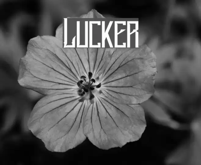 Lucker Font examples