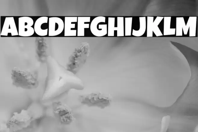 Luckiest Guy Font examples