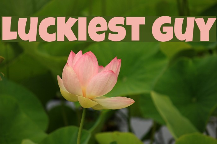 Luckiest Guy Font examples