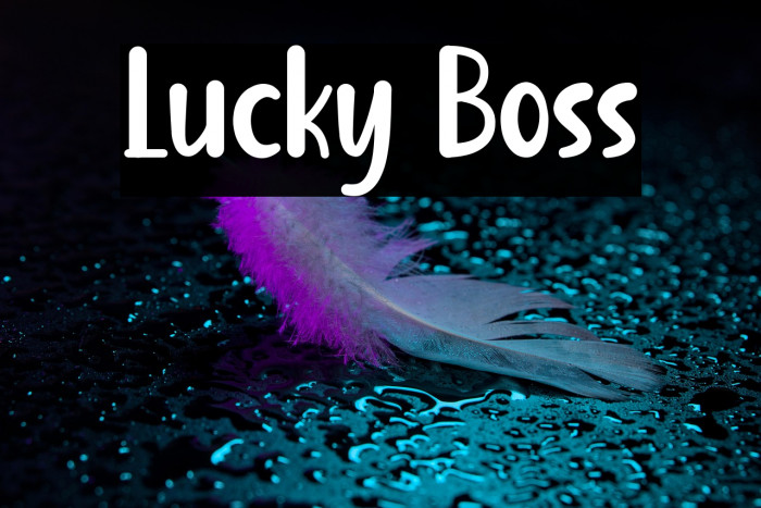 Lucky Boss Example 1