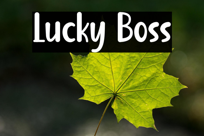 Lucky Boss Example 3