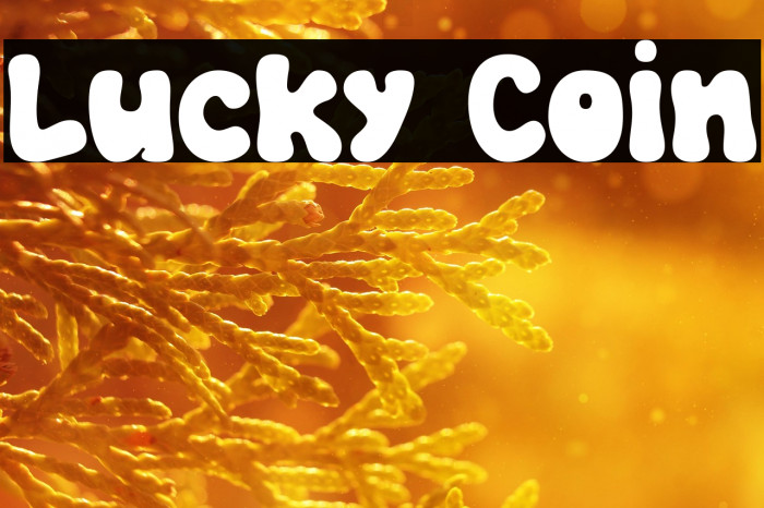 Lucky Coin Example 2