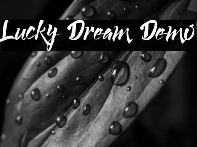 Lucky Dream Demo Example 1