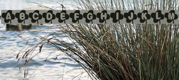 Lucky Font Font examples