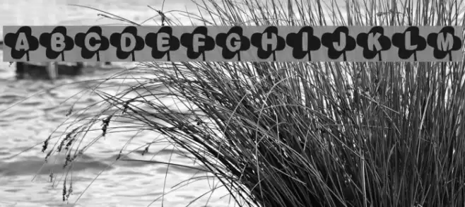 Lucky Font Fonte examples