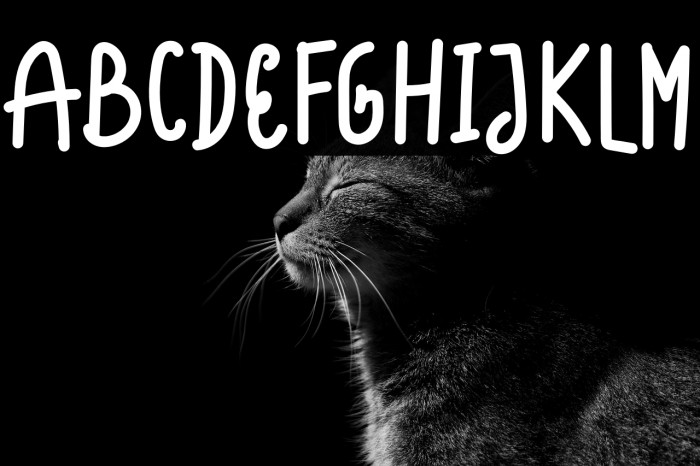 Lucky Food Example 3