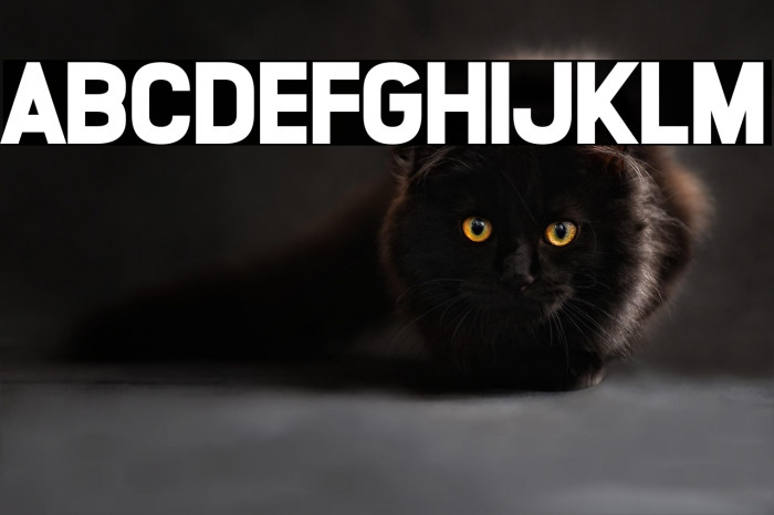 Lucky Lady Example 1