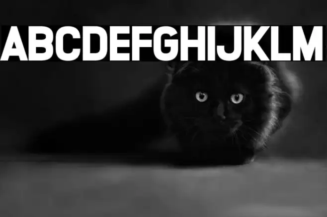 Lucky Lady Example 1