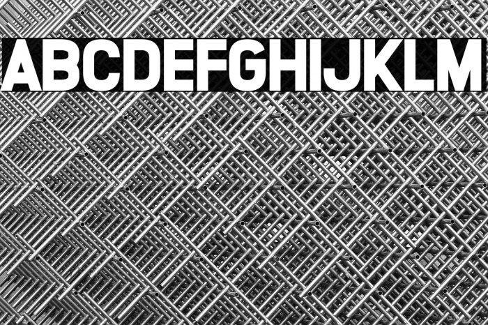 Lucky Lady Example 3