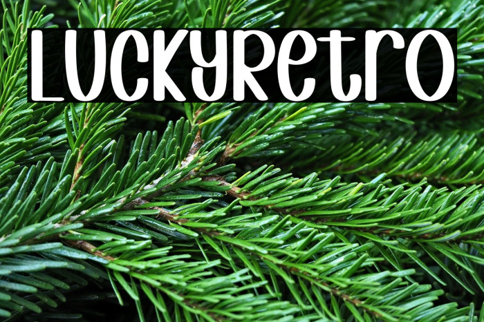 Lucky Retro Example 2