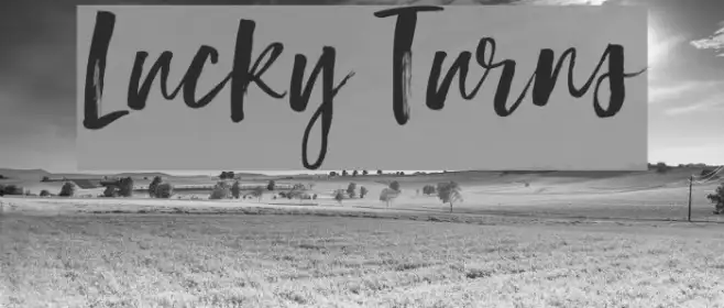 Lucky Turns Example 2