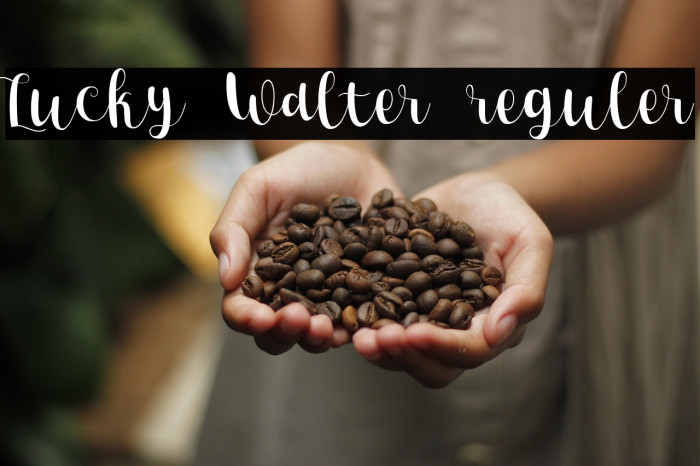 Lucky Walter reguler Example 2