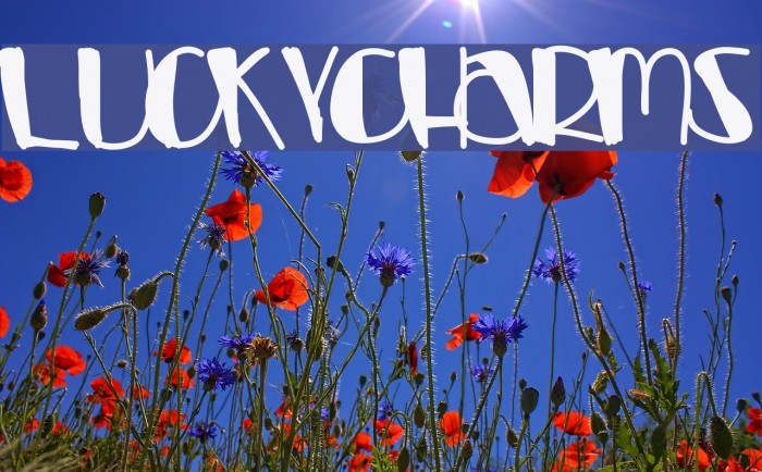 LuckyCharms Example 3