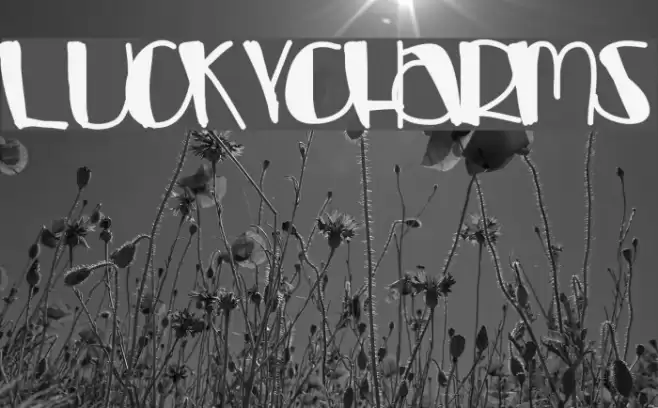LuckyCharms Font examples