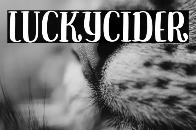 LuckyCider Font examples