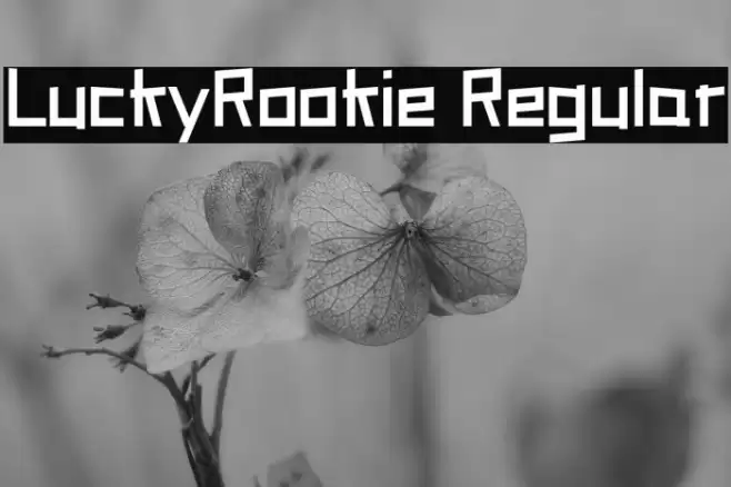 LuckyRookie Regular Font examples