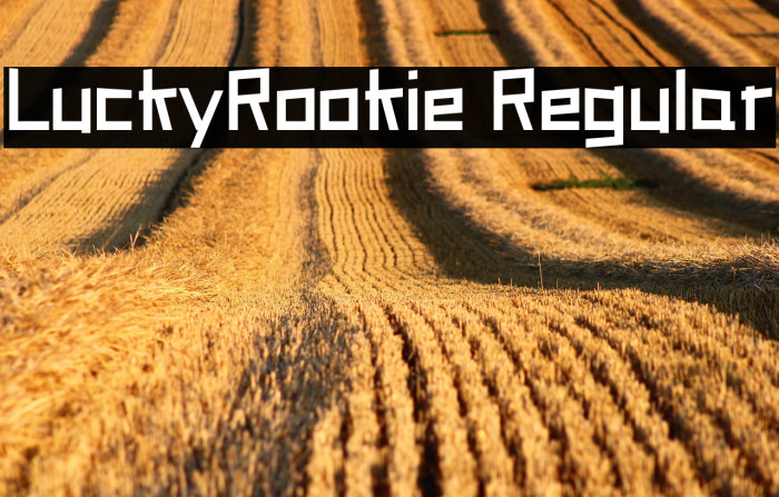 LuckyRookie Regular Example 3