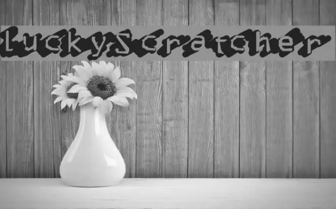 LuckyScratcher Example 2