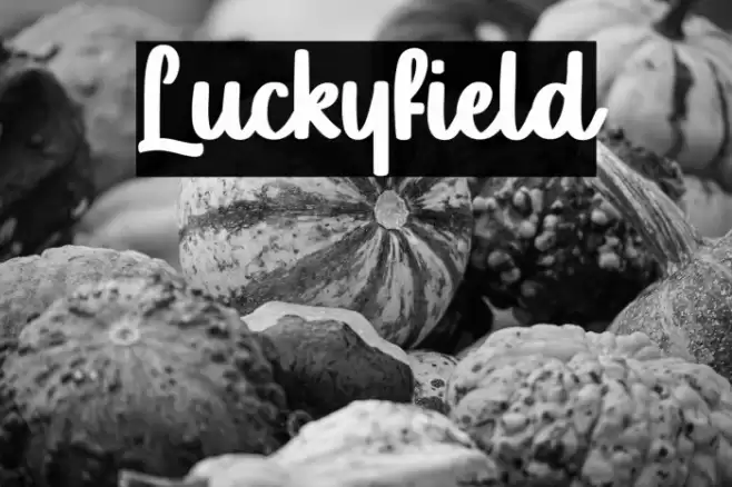 Luckyfield Font examples
