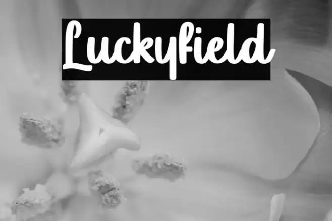 Luckyfield Font examples