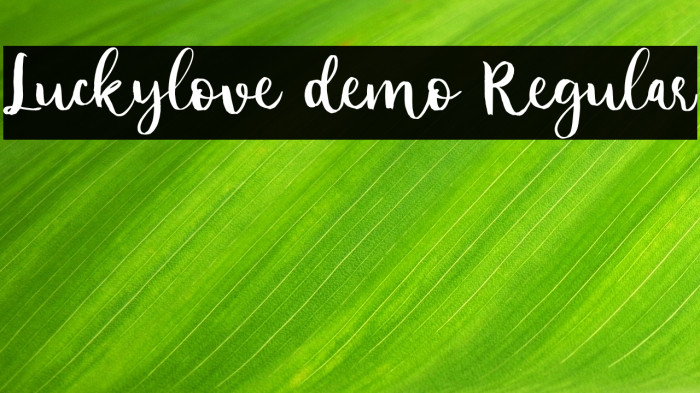 Luckylove demo Regular Example 1