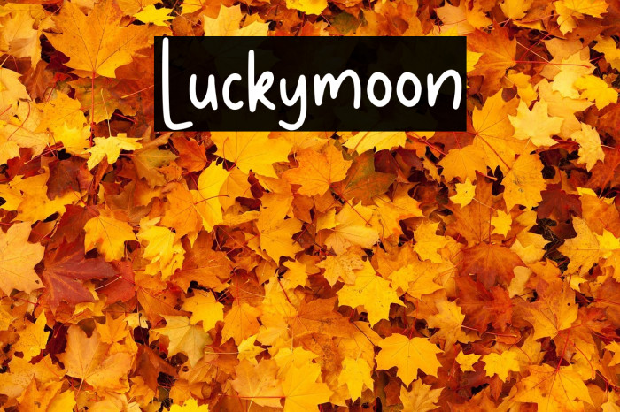 Luckymoon Example 1