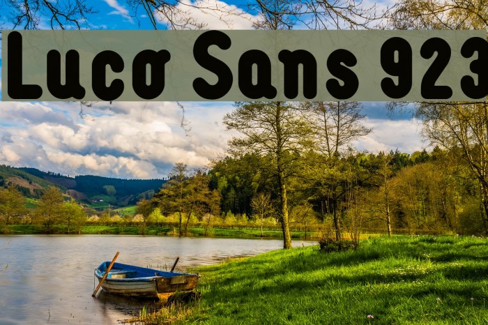 Luco Sans 923 Font examples