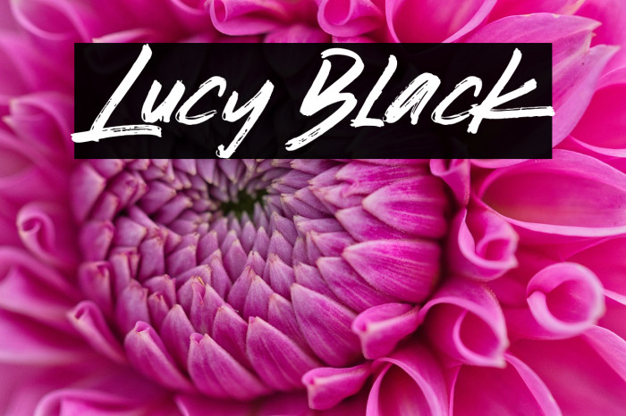Lucy Black Example 2