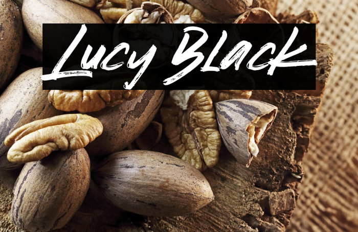 Lucy Black Example 3