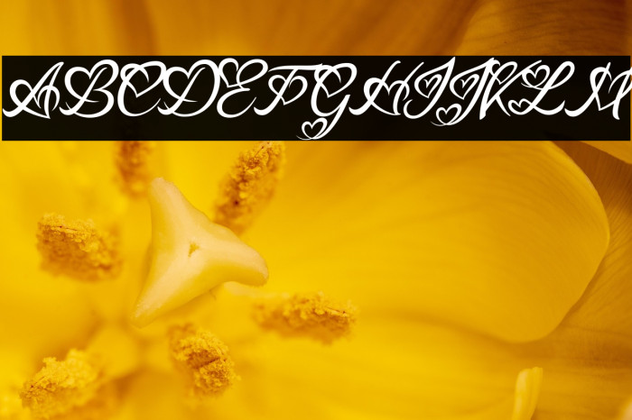 Lucy Said Ok Personal Use Italic Example 1