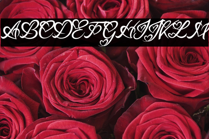 Lucy Said Ok Personal Use Italic Example 2