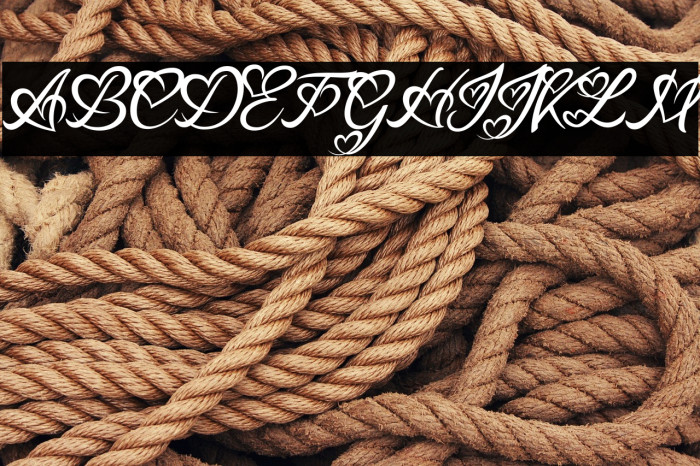 Lucy Said Ok Personal Use Italic Example 3