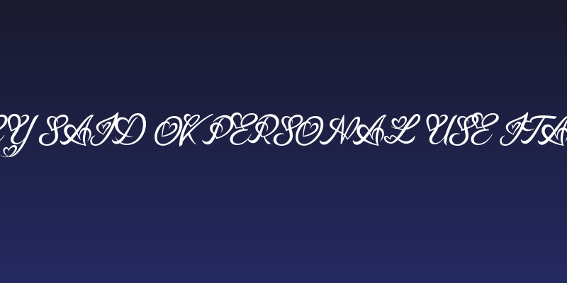 Lucy Said Ok Personal Use Italic Social Header
